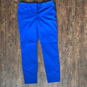 Blue Express Columnist Pant